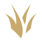 Rừng